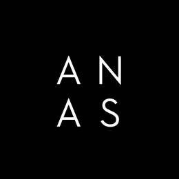 BFM/Diversen/Blog/logo_anas.jpg